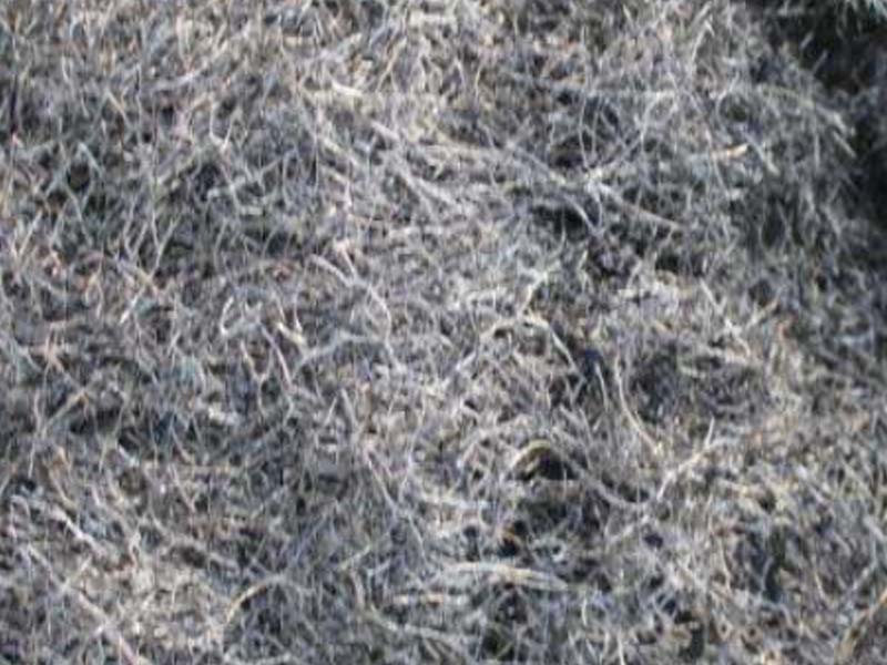 ትግበራ 1